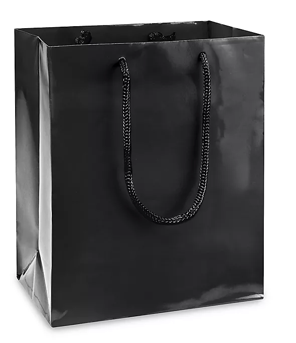 Custom Colored Glossy Paper Shopping bags - 100 Bags