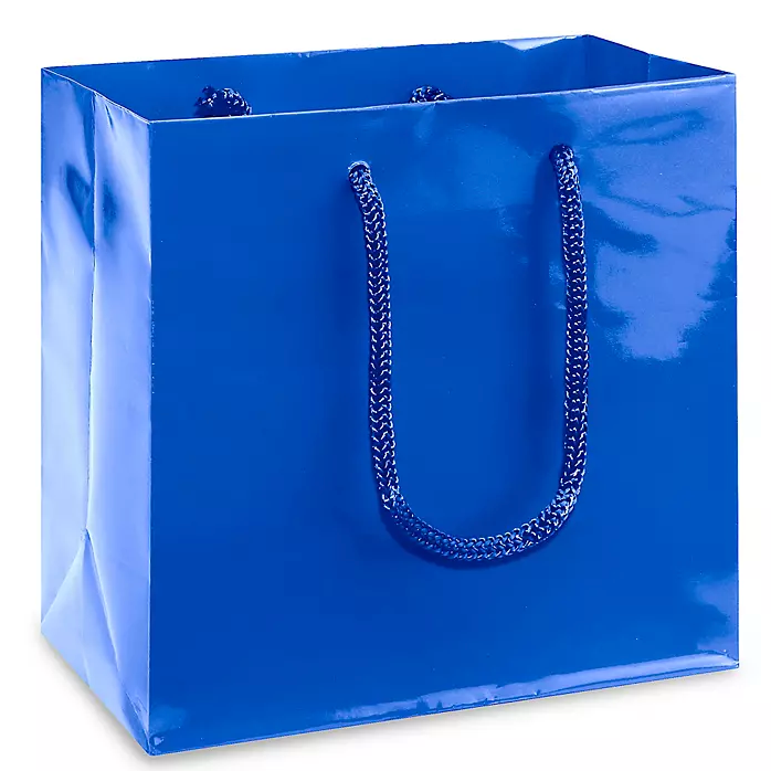 Custom Colored Glossy Paper Shopping bags - 100 Bags