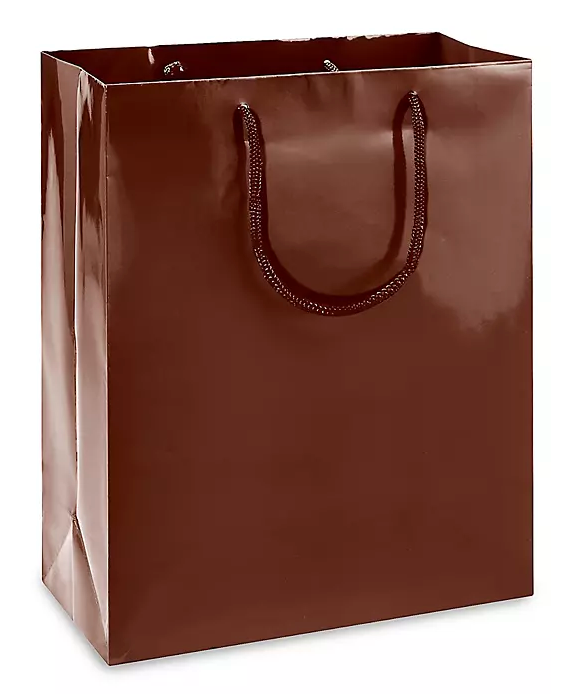 Custom Colored Glossy Paper Shopping bags - 100 Bags