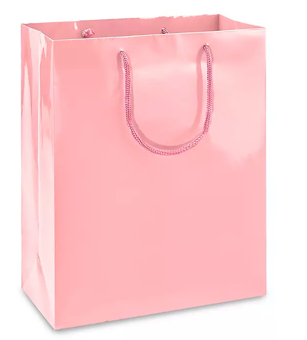 Custom Colored Glossy Paper Shopping bags - 100 Bags