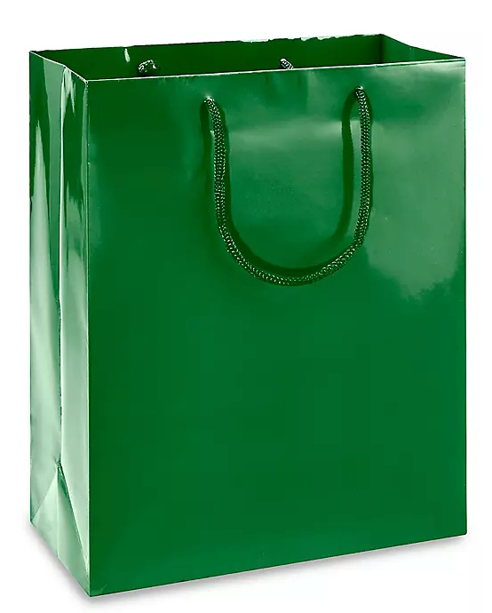 Custom Colored Glossy Paper Shopping bags - 100 Bags