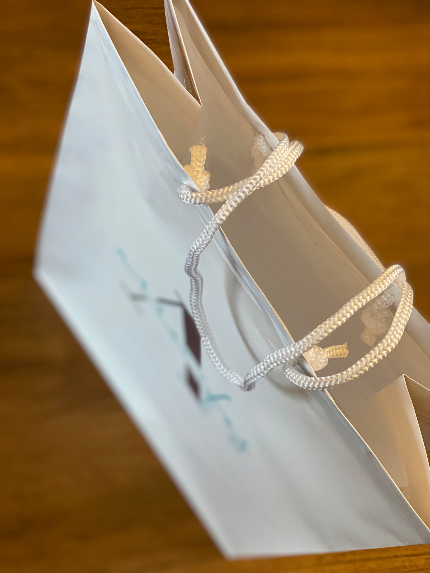 Custom White Glossy Shopping bags - Pack of 25
